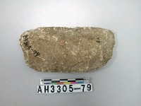 藏品(中型片狀舌刃打製石斧)的圖片